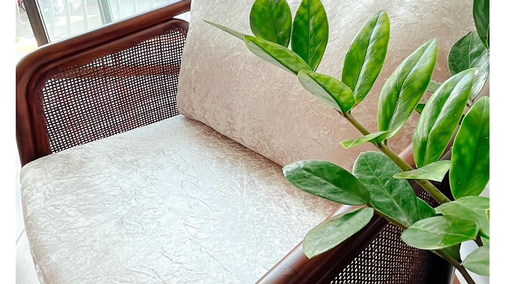 Homestay Reverie Home Da Nang Vietnam